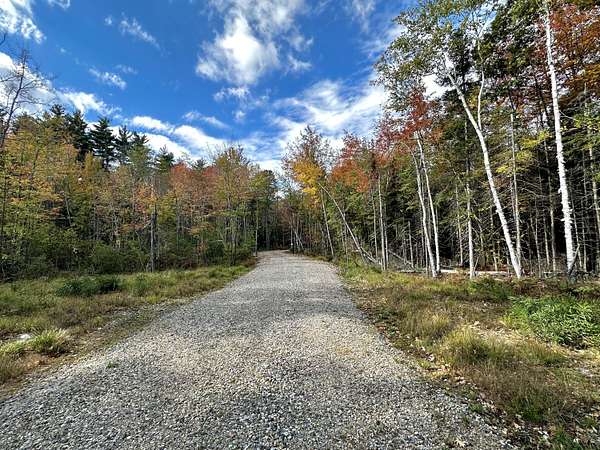 11.2 Acres of Land for Sale in Shapleigh, Maine