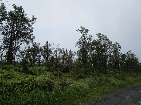 3 Acres of Land for Sale in Volcano, Hawaii