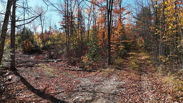 24.5 Acres of Recreational Land for Sale in Woodville Town, Maine