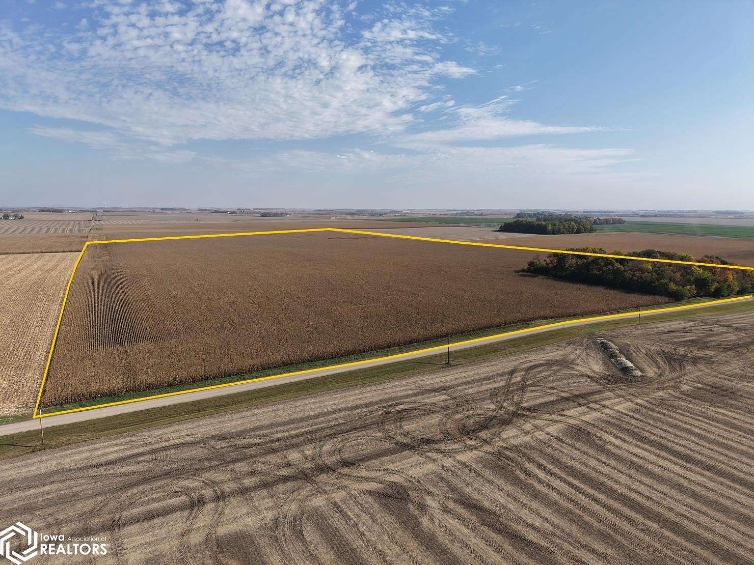 80 Acres of Agricultural Land for Sale in Wabasso, Minnesota