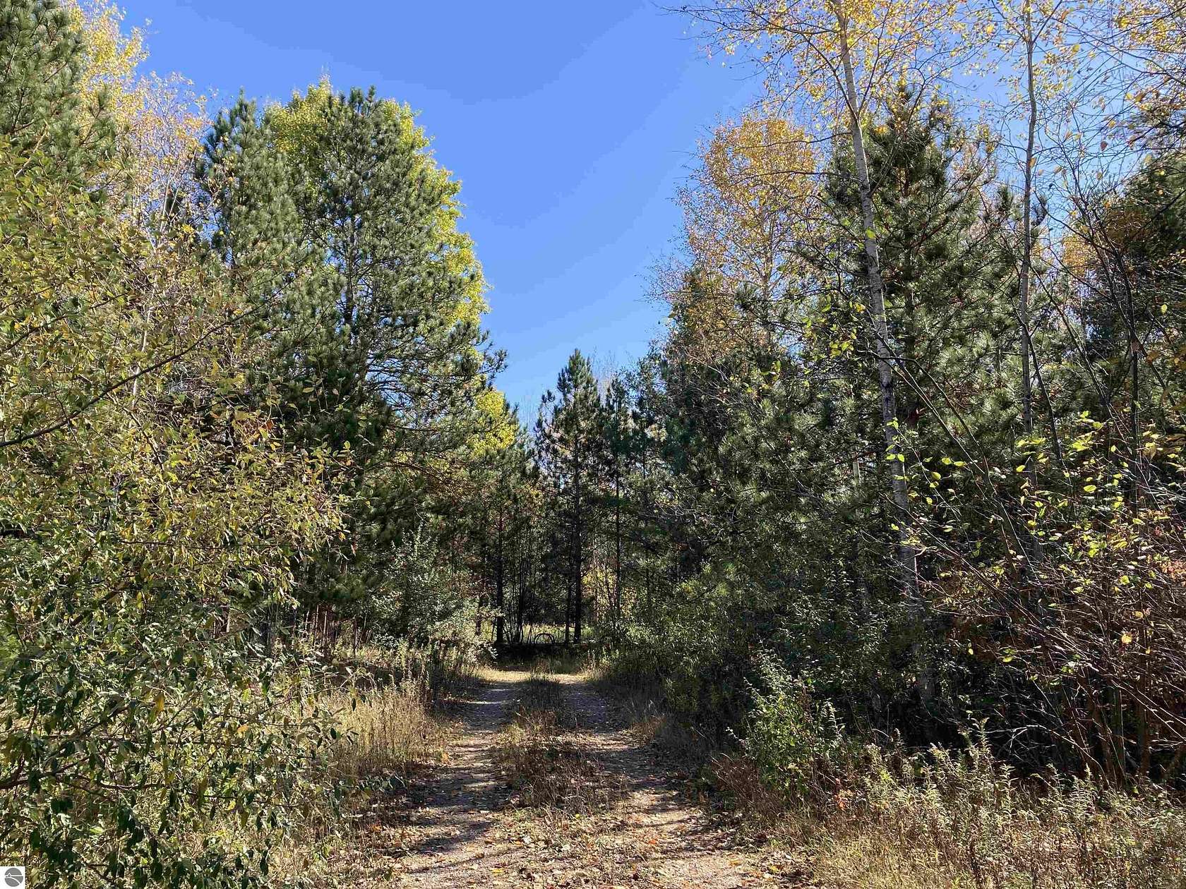 20 Acres of Recreational Land for Sale in Rose City, Michigan