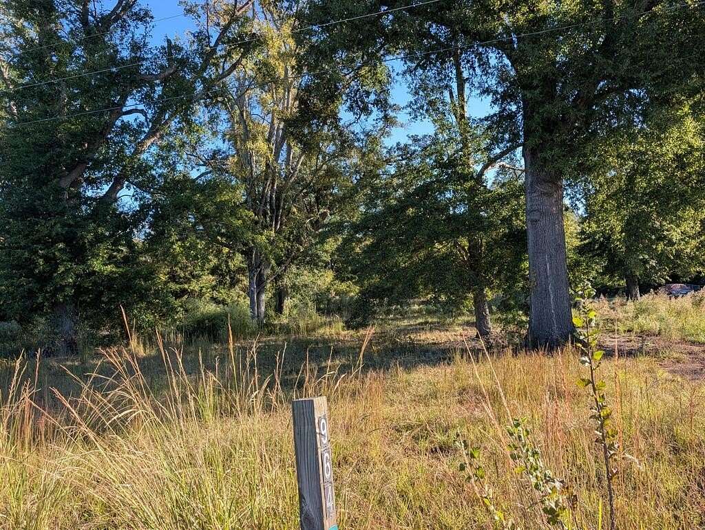 4.1 Acres of Residential Land for Sale in Chappells, South Carolina