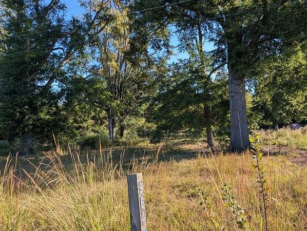 4.1 Acres of Residential Land for Sale in Chappells, South Carolina