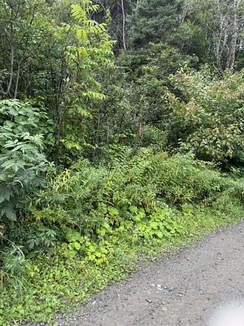 46 Acres of Recreational & Residential Land for Sale in Madawaska, Maine
