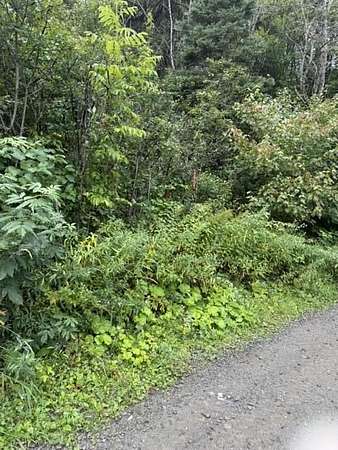 46 Acres of Recreational & Residential Land for Sale in Madawaska, Maine