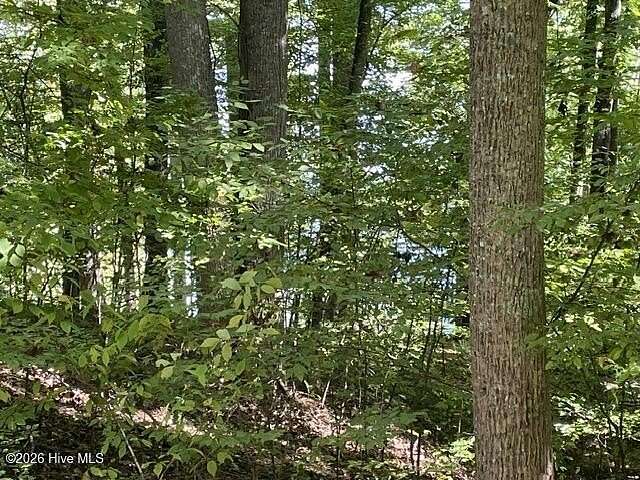 1.56 Acres of Land for Sale in Topton, North Carolina