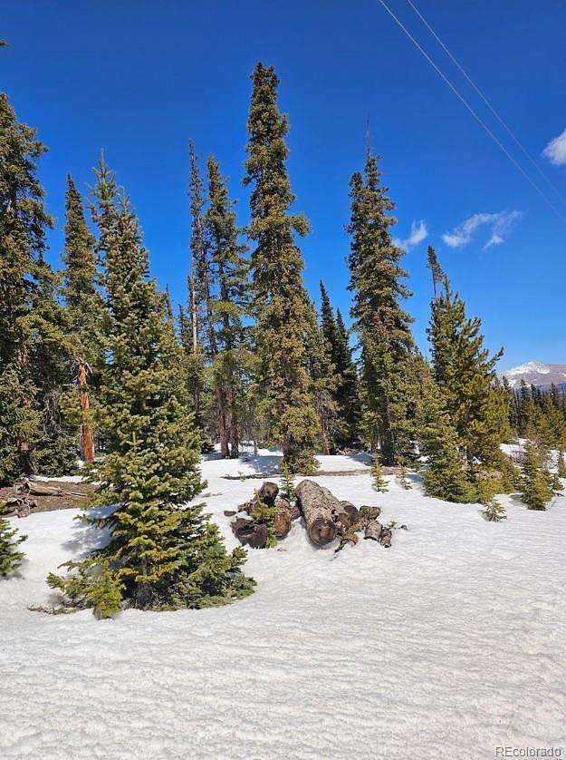 1 Acre of Residential Land for Sale in Fairplay, Colorado