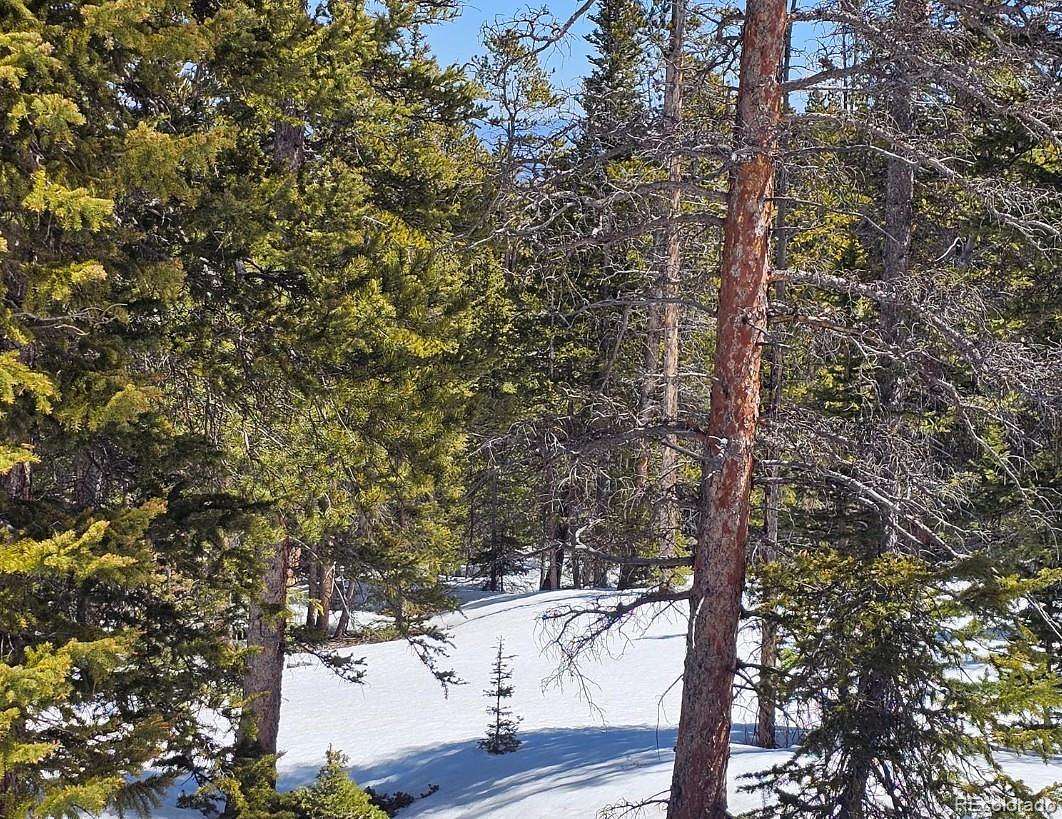 1 Acre of Residential Land for Sale in Fairplay, Colorado