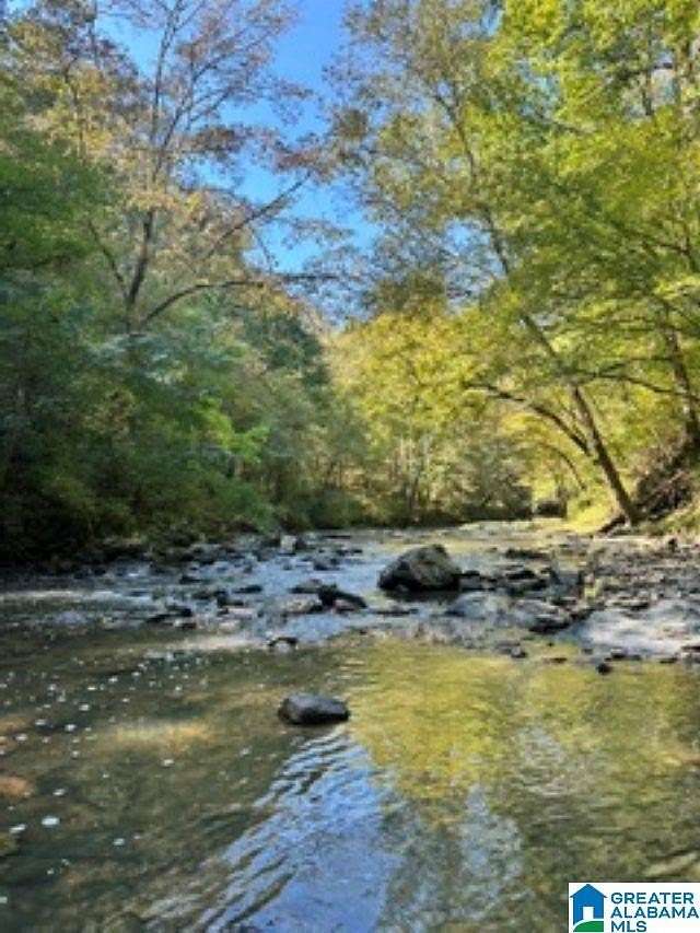 38.5 Acres of Recreational Land for Sale in Calera, Alabama