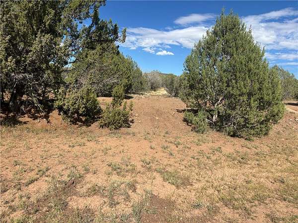 38.6 Acres of Recreational & Residential Land for Sale in Seligman, Arizona