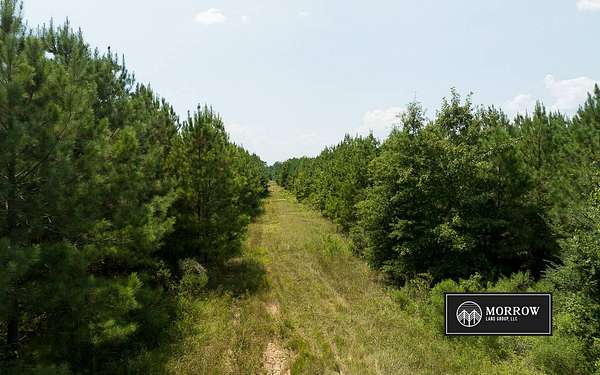 109 Acres of Land for Sale in Elm Grove, Louisiana