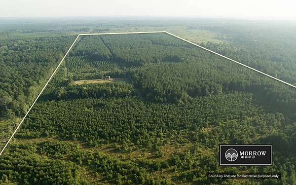 105 Acres of Land for Sale in Plain Dealing, Louisiana