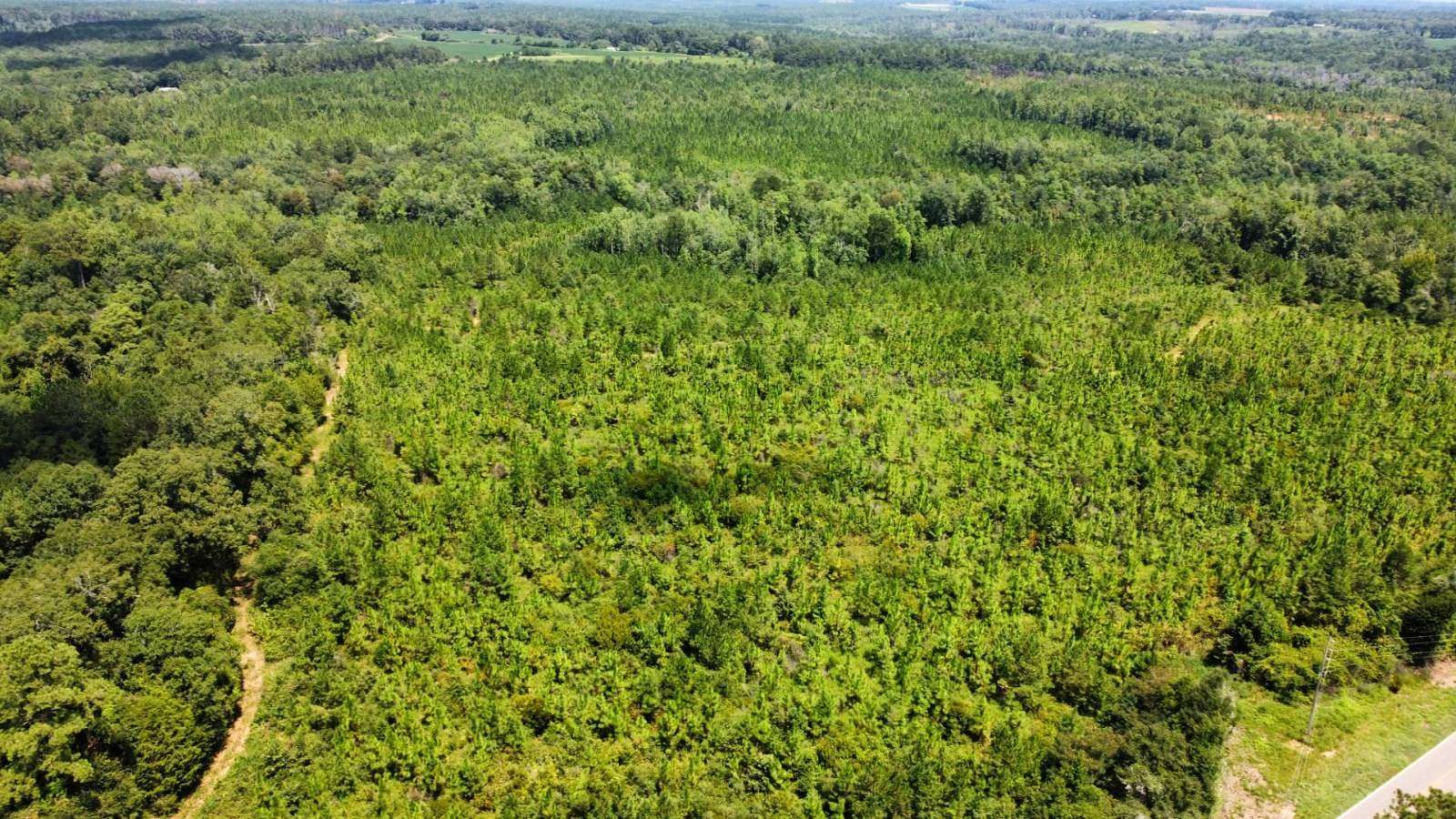 265 Acres of Recreational & Residential Land for Sale in Red Level, Alabama