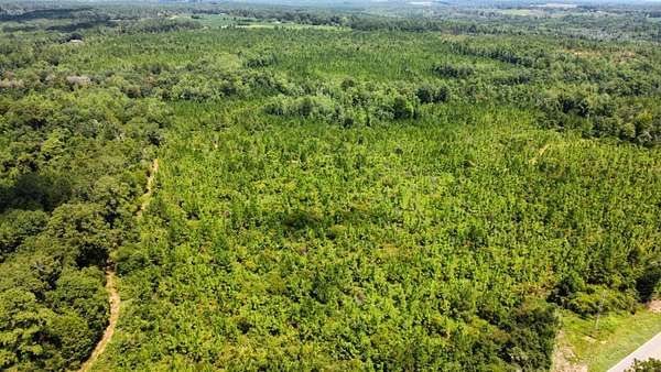 265 Acres of Recreational & Residential Land for Sale in Red Level, Alabama