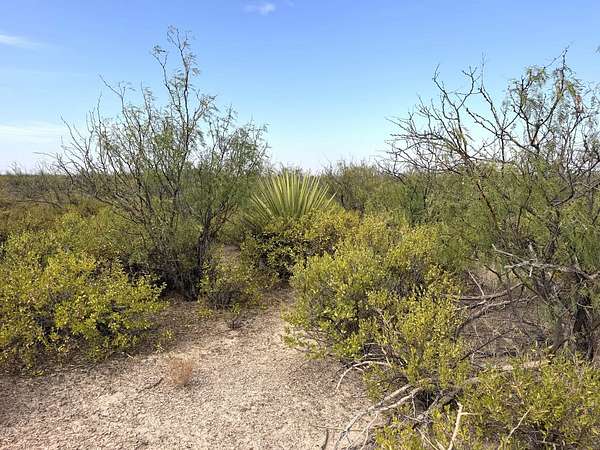 310 Acres of Recreational Land for Sale in Midkiff, Texas