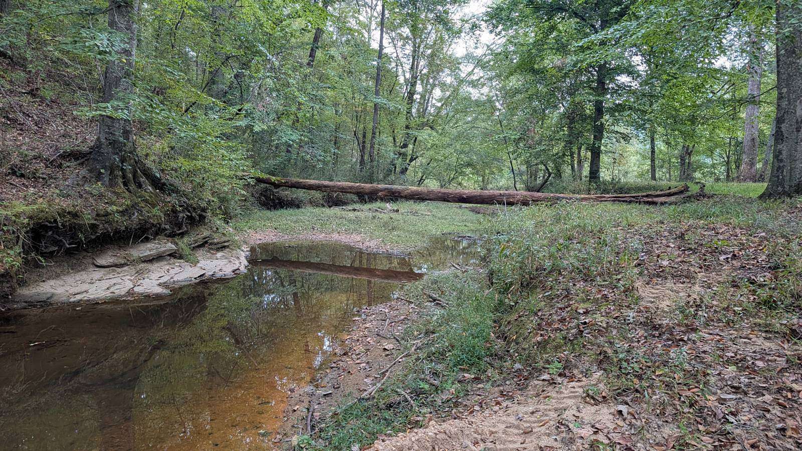 82.7 Acres of Recreational & Residential Land for Auction in Heflin, Alabama