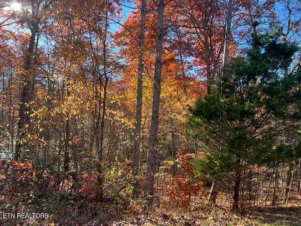 1.3 Acres of Residential Land for Sale in Monterey, Tennessee