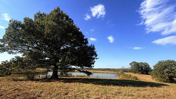 28 Acres of Land for Sale in Wildersville, Tennessee