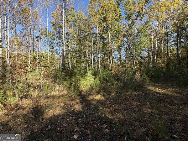 2 Acres of Residential Land for Sale in Clayton, Georgia