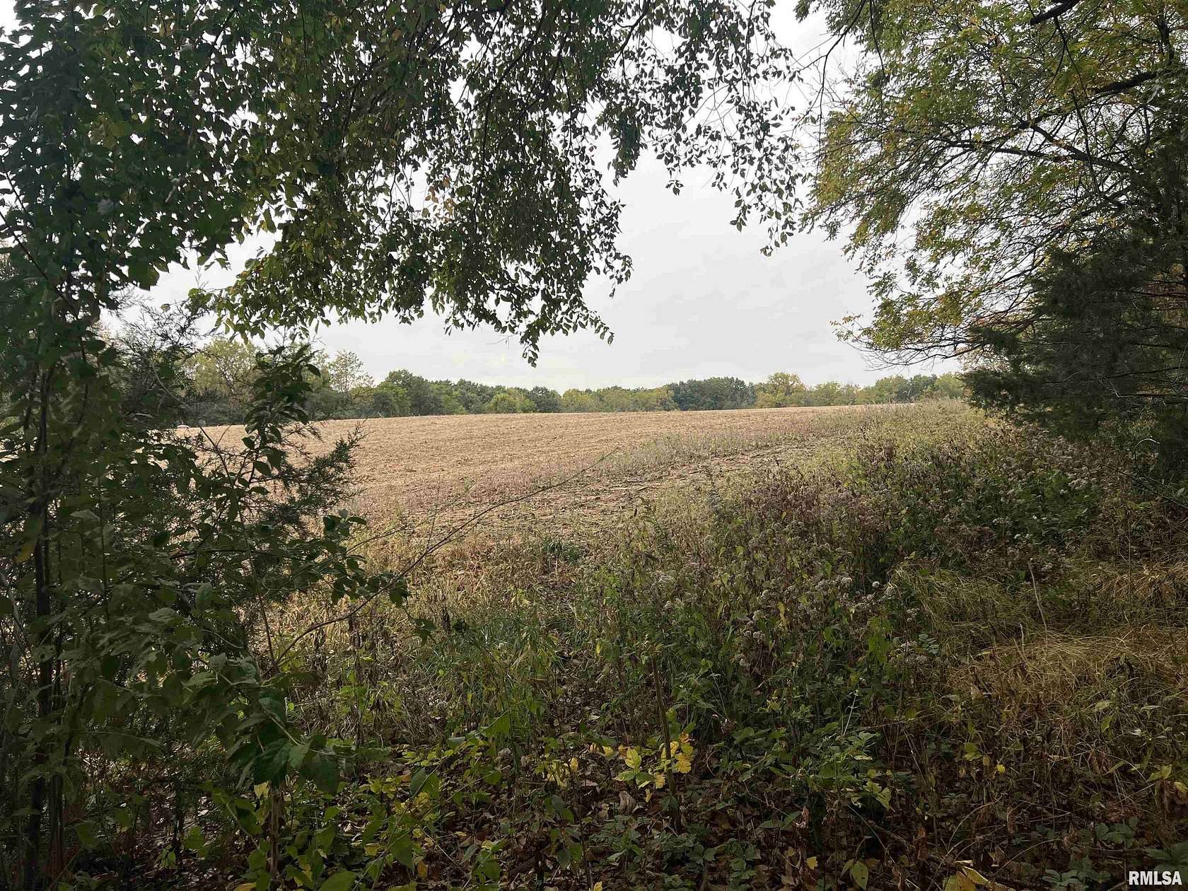 60 Acres of Land for Sale in Mount Sterling, Illinois