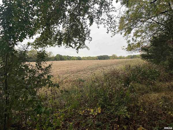 60 Acres of Land for Sale in Mount Sterling, Illinois