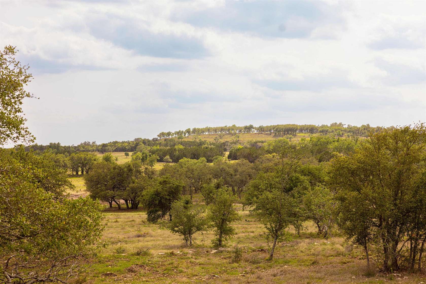 10 Acres of Land for Sale in Dripping Springs, Texas