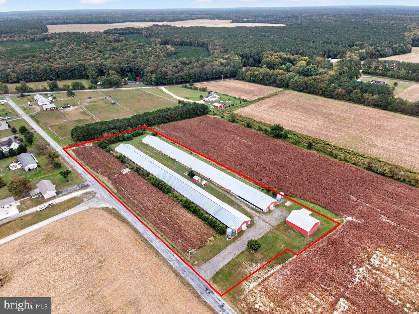 5 Acres of Residential Land for Sale in Laurel, Delaware