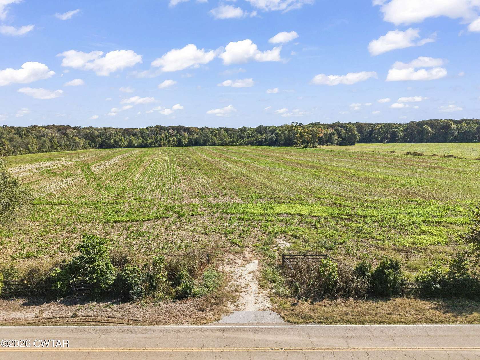 60 Acres of Land for Sale in Medina, Tennessee