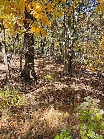 0.45 Acres of Residential Land for Sale in Mount Pocono, Pennsylvania
