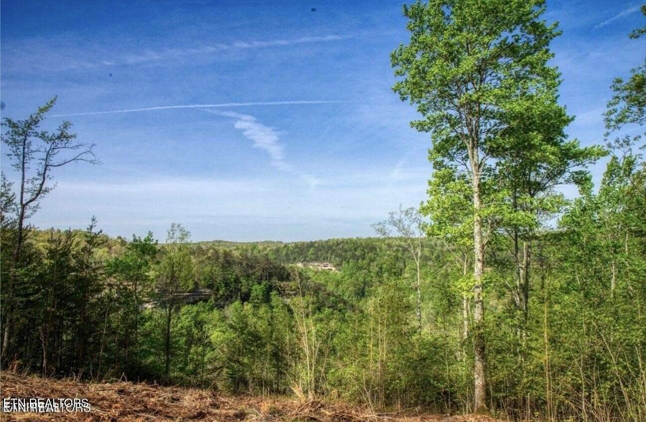 0.74 Acres of Residential Land for Sale in Jamestown, Tennessee