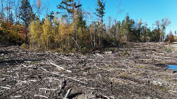 50.1 Acres of Recreational Land for Sale in Woodville Town, Maine