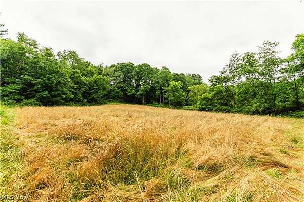 17.5 Acres of Recreational Land for Auction in Chandlersville, Ohio