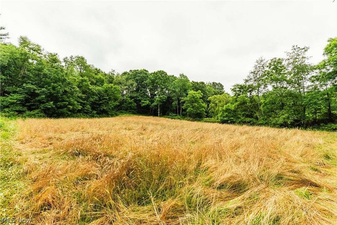 26.4 Acres of Recreational Land for Auction in Chandlersville, Ohio