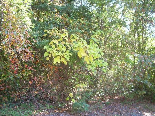 0.11 Acres of Residential Land for Sale in Mays Landing, New Jersey
