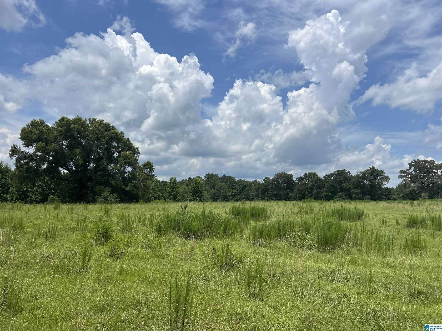 12 Acres of Land for Sale in Alpine, Alabama