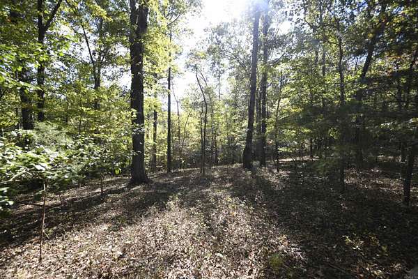 5.5 Acres of Land for Sale in Mena, Arkansas