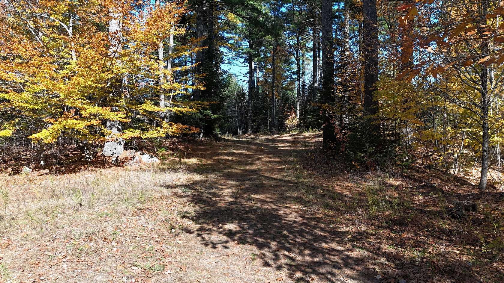 54.8 Acres of Recreational & Residential Land for Sale in Lee, Maine