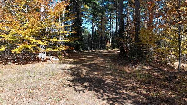 54.8 Acres of Recreational & Residential Land for Sale in Lee, Maine
