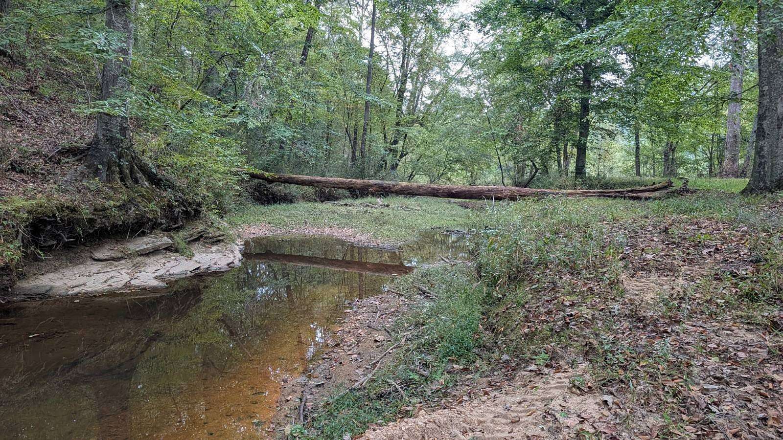 82.7 Acres of Recreational & Residential Land for Sale in Heflin, Alabama