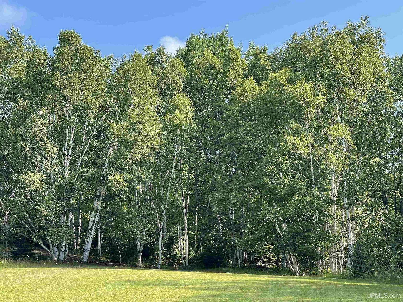 19.5 Acres of Land for Sale in Marquette, Michigan