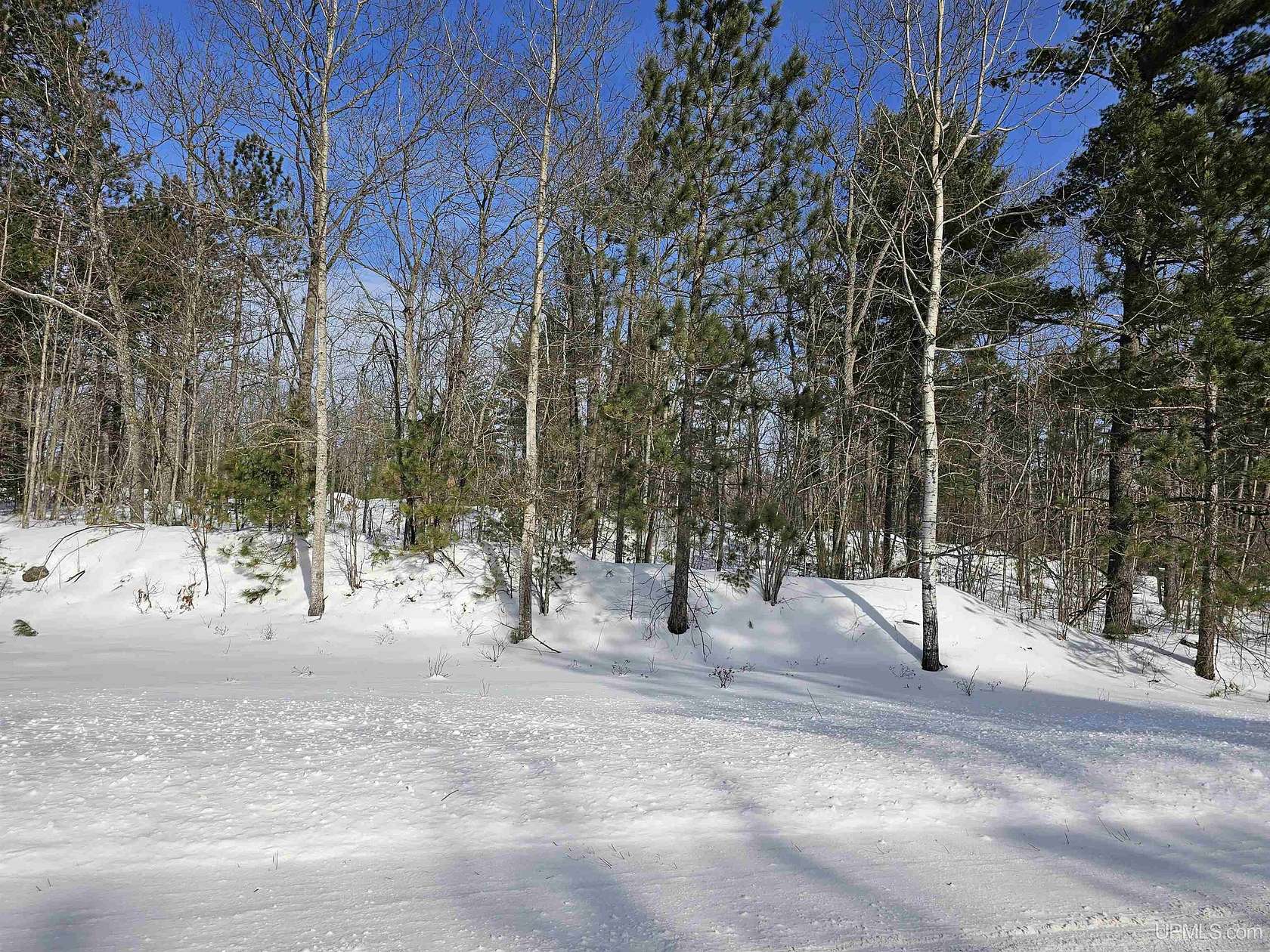 80 Acres of Recreational & Residential Land for Sale in Ishpeming, Michigan