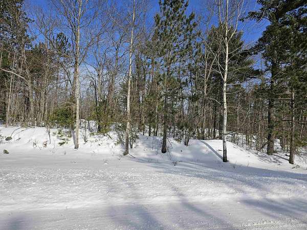 80 Acres of Recreational & Residential Land for Sale in Ishpeming, Michigan
