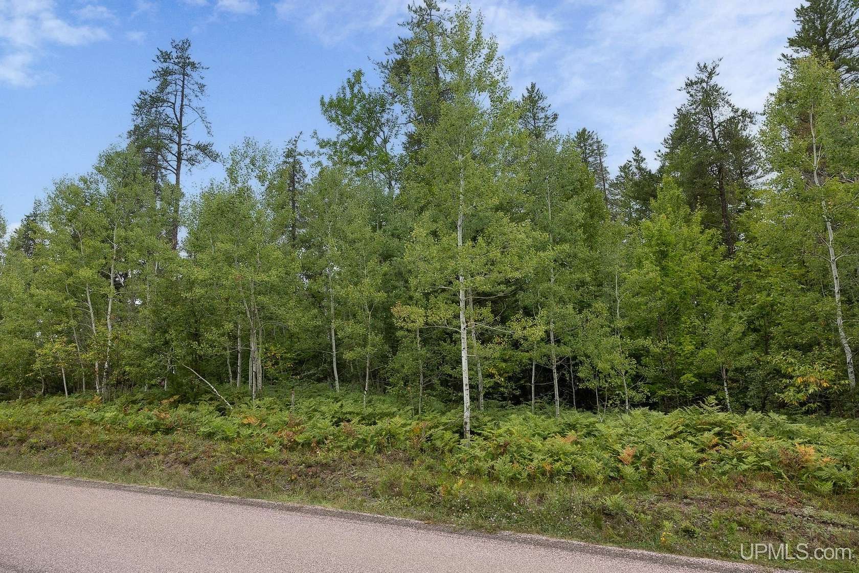 0.96 Acres of Residential Land for Sale in Negaunee, Michigan