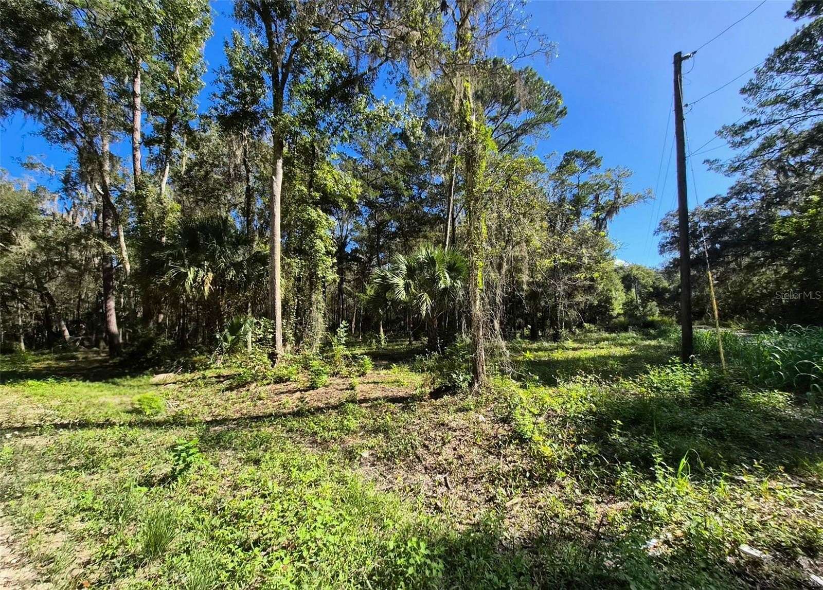 0.25 Acres of Residential Land for Sale in Ocala, Florida