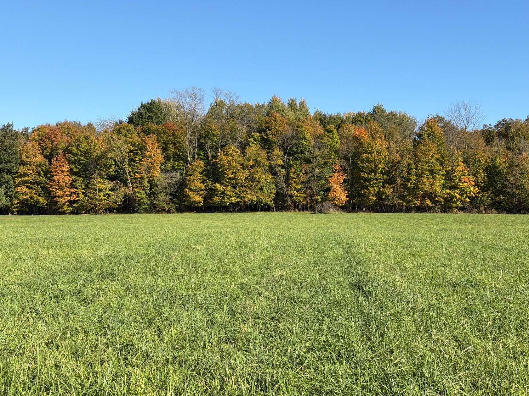 5 Acres of Residential Land for Sale in Richwood, Ohio