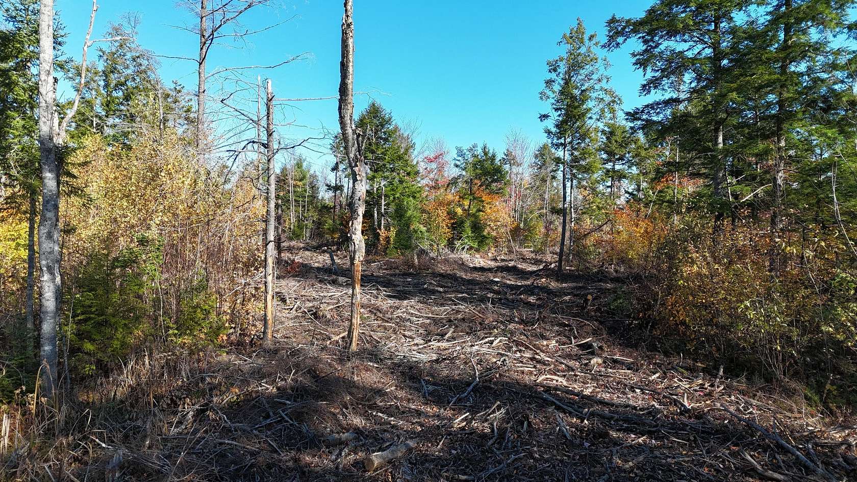 31.8 Acres of Recreational Land for Sale in Woodville Town, Maine