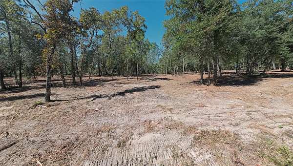 2.5 Acres of Land for Sale in Williston, Florida