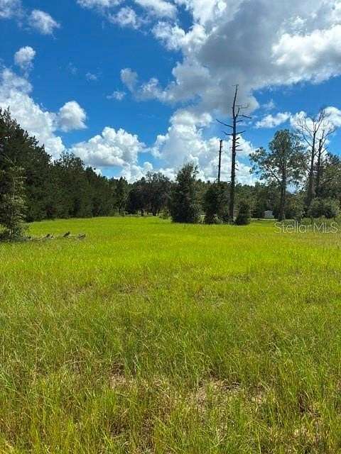 0.99 Acres of Residential Land for Sale in Dunnellon, Florida