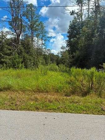 0.99 Acres of Residential Land for Sale in Dunnellon, Florida