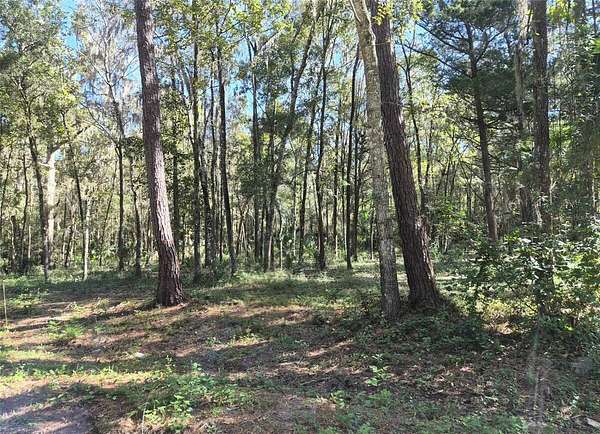 0.25 Acres of Land for Sale in Ocala, Florida